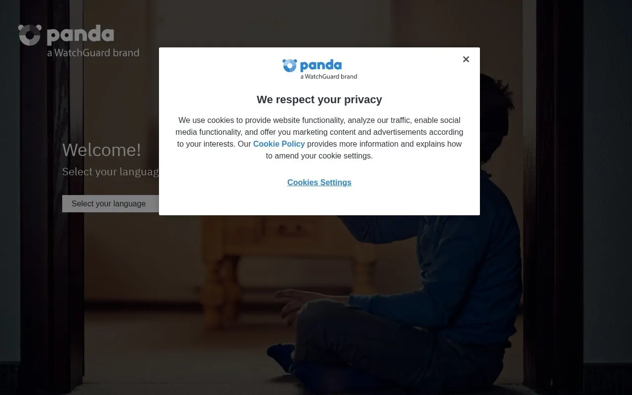 Panda Dome dashboard screenshot